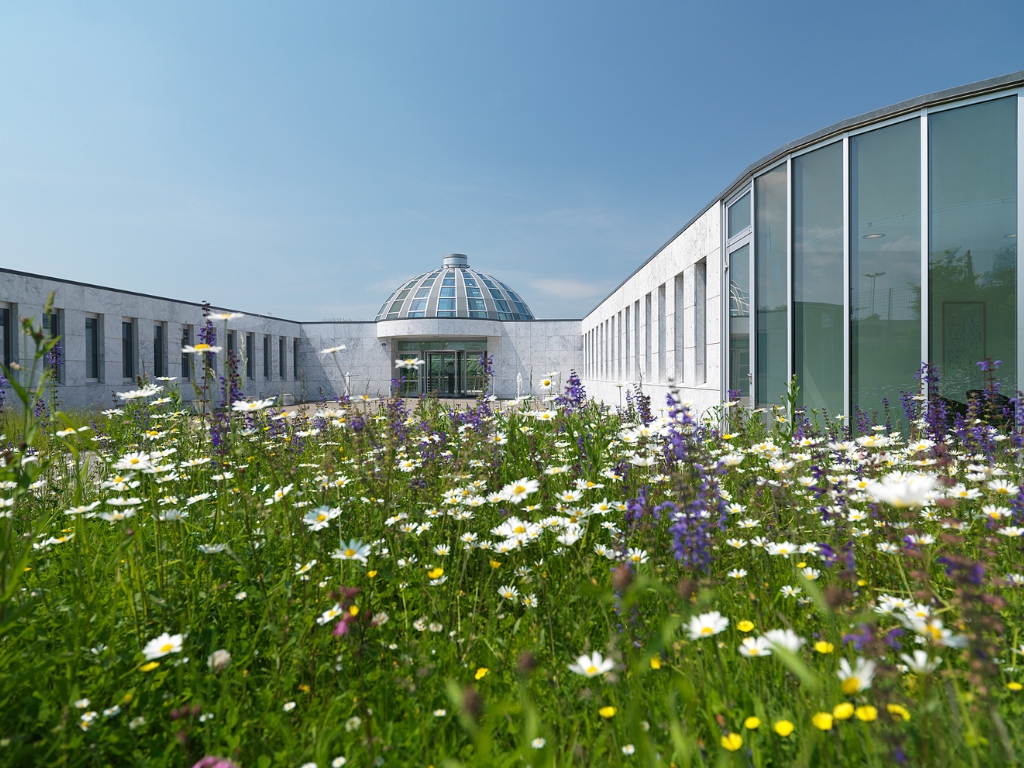 wbz-holzweid-locationpage-gallery-6